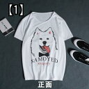 Tシャツ 犬柄 サモエド かわいい半袖 柄 シャツ シンプル ワイルド