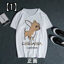 Tシャツ 犬柄 チワワ 犬 柄 シャツ シンプルで用途の広いTシャツ