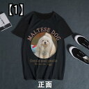 Tシャツ 犬柄 マルタ 犬の服 黒 プリント シャツ 半袖