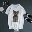 Tシャツ 犬柄 ヨークシャーテリア パターン かわいいペット かわいいシャツ 犬 ファン 服 白いカップル服 半袖