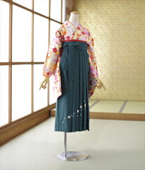 https://thumbnail.image.rakuten.co.jp/@0_mall/frou-frou/cabinet/03122884/2421027-body.jpg