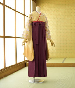 袴 セット レンタル 女性 女袴 着物レンタル 成人式 卒業式 教職員 教員 大学 先生 色無地 二尺袖 はかま 貸衣装 フルフル 草履 ブーツ丈対応 安い【袴レンタル/フォトブック付】通販