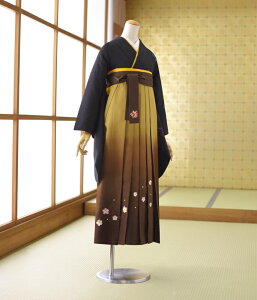 袴 レンタル セット 女袴 着物レンタル 卒業式 女性 大学 成人式 教職員 教員 先生 色無地 二尺袖 はかま 貸衣装 フルフル 草履 ブーツ丈対応 安い【袴レンタル/フォトブック付】安売り
