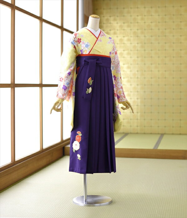 ＼10%早期割引クーポン／ 卒業式 袴 レンタル 袴 セット 女袴 《身長》150cm～155cm 着物レンタル はかま 教職員 教員 先生 大学 短大 専門学校 高校 中学 大人 往復送料無料 新品足袋プレゼント 色無地 二尺袖 はかま 草履 ブーツ丈対応 安い 袴レンタル