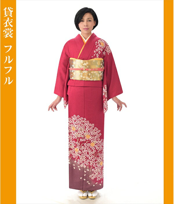 【レンタル】 訪問着 レンタル ワインラメ入り山桜 mh1196 女性 袋帯 着物 ピンクを尾帯びたラメ入りワイン地 サイズ M/L フルセット モダン 入学式 卒業式 母 着物 母親 結婚式 卒園式 お宮参り 七五三 ママ mh101 人気 おすすめ frou-frou-10002081 FrouFrou サンプル画像3