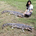 FRPアニマルオブジェ アメリカ鰐の雄姿置物 動物 ワニ わに 動物園 店舗 カフェ 喫茶店 レストラン 飲食店 インテリア イベント ディスプレイ 実物大 等身大 リアル 等身大フィギュア 