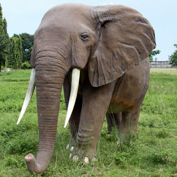 FRPアニマルオブジェ　アフリカ象　置物 動物 ゾウ ぞう 動物園 店舗 カフェ 喫茶店 レストラン 飲食店 インテリア イベント ディスプレイ 実物大 等身大 リアル 【whlny】