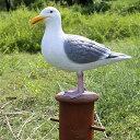 FRPアニマルオブジェ ビットの上のカモメ 置物 動物 鳥 かもめ 動物園 店舗 カフェ 喫茶店 レストラン 飲食店 インテリア イベント ディスプレイ 実物大 等身大 リアル 【whlny】