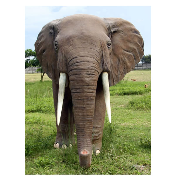 FRP���˥ޥ륪�֥��� ���եꥫ����ʪ ưʪ ���� ���� ưʪ�� Ź�� ���ե� ����Ź �쥹�ȥ�� ����Ź ����ƥꥢ ���٥�� �ǥ����ץ쥤 ��ʪ�� ������ �ꥢ�� ��whlny��