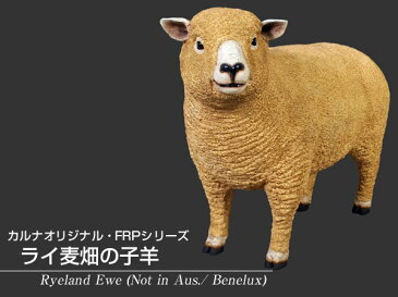 FRPアニマルオブジェ ライ麦畑の子羊 置物 動物 ヒツジ ひつじ 動物園 店舗 カフェ 喫茶店 レストラン 飲食店 インテリア イベント ディスプレイ 実物大 等身大 リアル 【whlny】