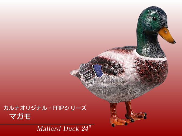 FRPアニマルオブジェ マガモ置物 動物 鳥 鴨 カモ かも 動物園 店舗 カフェ 喫茶店 レストラン 飲食店 インテリア イベント ディスプレイ 実物大 等身大 リアル 【whlny】 2