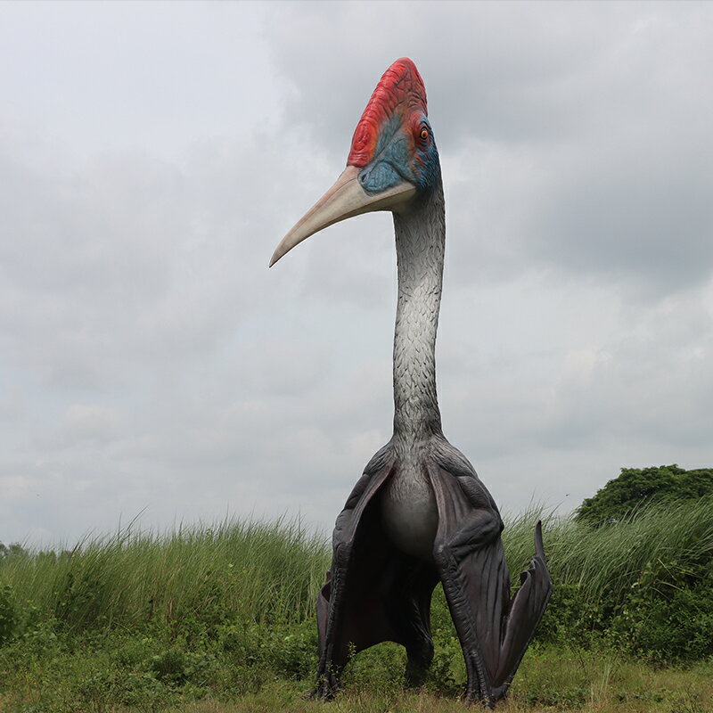 FRP��ε���֥��� ��ε���ĥ��륳���ȥ���ʪ �򰡵� ��ε�� �� ɸ�� ��ʪ�� Ź�� ���٥�� �ǥ����ץ쥤 ��ʪ�� ������ �ꥢ�� ��whlny��