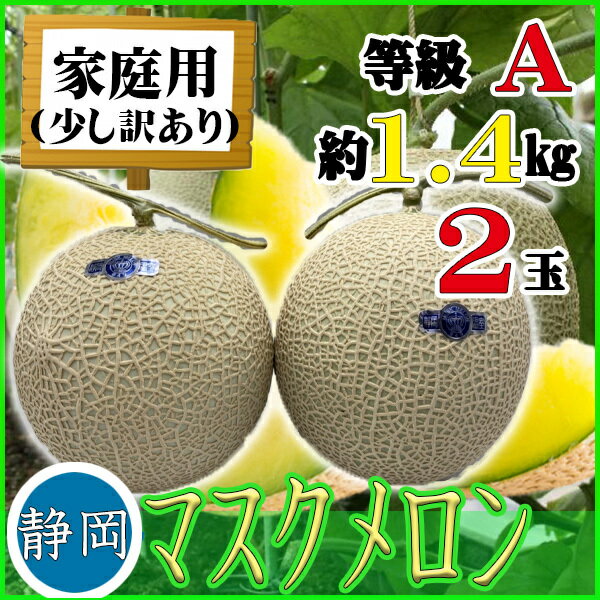 【送料無料】静岡県産　マスクメロン　2玉　1玉約1.4キロ以上　A等級　　贈答　ギフト　ご家庭用　訳あり　網目にバラつき