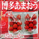 福岡県産　博多あまおう　L〜2L　1パック約270g　2パッ