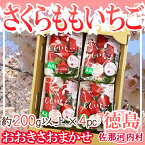 【送料無料】徳島県産　さくらももいちご　4パック　おおきさおまかせ　1パック200g×以上※クール便発送