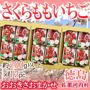 いちご 【送料無料】徳島県産　さくらももいちご　12パック　おおきさおまかせ　1パック200g×以上※クール便発送