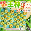 産地厳選 王林りんご 24~32玉 約10kg クール便発送