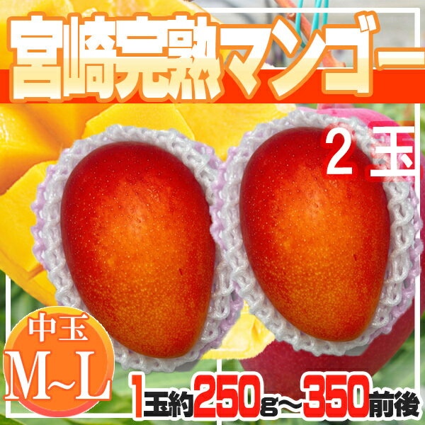 宮崎県産　宮崎完熟マンゴー　2玉　M〜L ※クール便発送