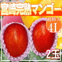 宮崎県産 宮崎完熟マンゴー 4L 2玉 超特大 クール便発送