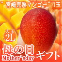 母の日 宮崎完熟マンゴー1玉2L 造花カーネーション付き 5/7〜5/11お届け(日付指定不可)(4)