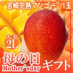 母の日　宮崎完熟マンゴー1玉2L　造花カーネーション付き　予約販売5/8以降発送