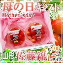母の日 佐藤錦さくらんぼ 約100g2パック 造花カーネーション付き