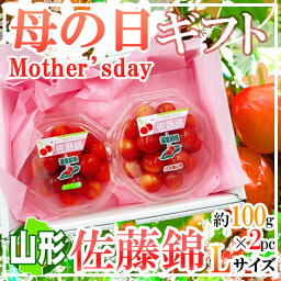 母の日　佐藤錦さくらんぼ　約100g2パック　造花カーネーション付き　予約販売5/8以降発送