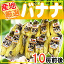 【送料無料】産地厳選 バナナ 10袋