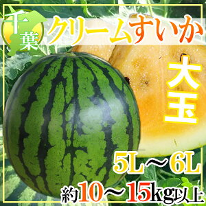 【送料無料】千葉県産　クリームすいか　5L〜6L　1玉　約10〜15キロ以上
