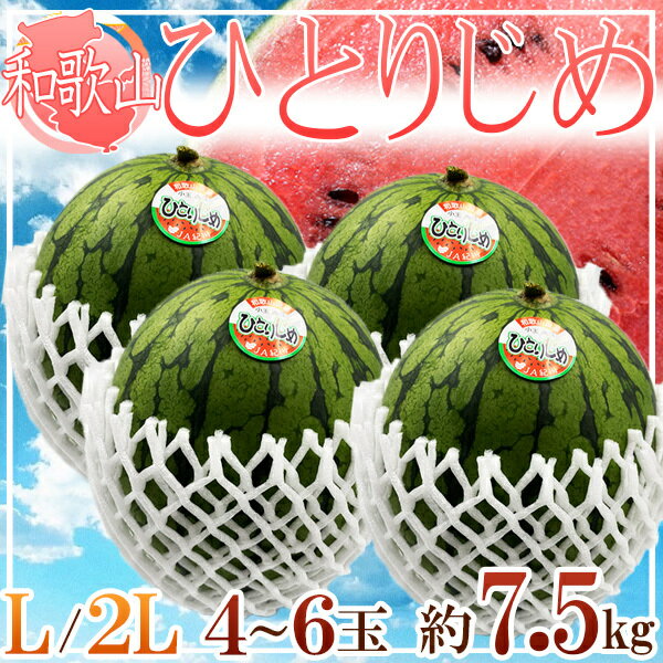 【送料無料】和歌山県産　ひとりじめすいか　L〜2L　4〜6玉　約7.5キロ前後