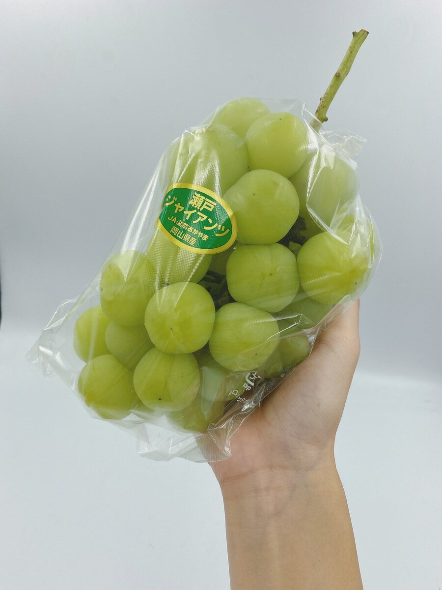 岡山県産　瀬戸ジャイアンツ　約580g×2房　優品