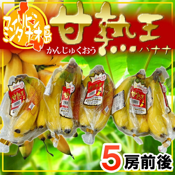 フィリピン産 甘熟王 5袋