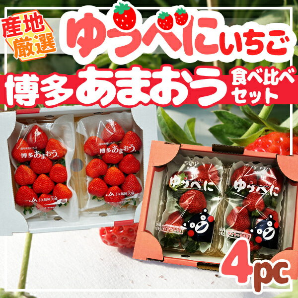 産地厳選ゆうべに　福岡県産あまおう　食べ比べセット　各2パック