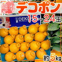 熊本県産 デコポン 15〜24玉 約5キロ