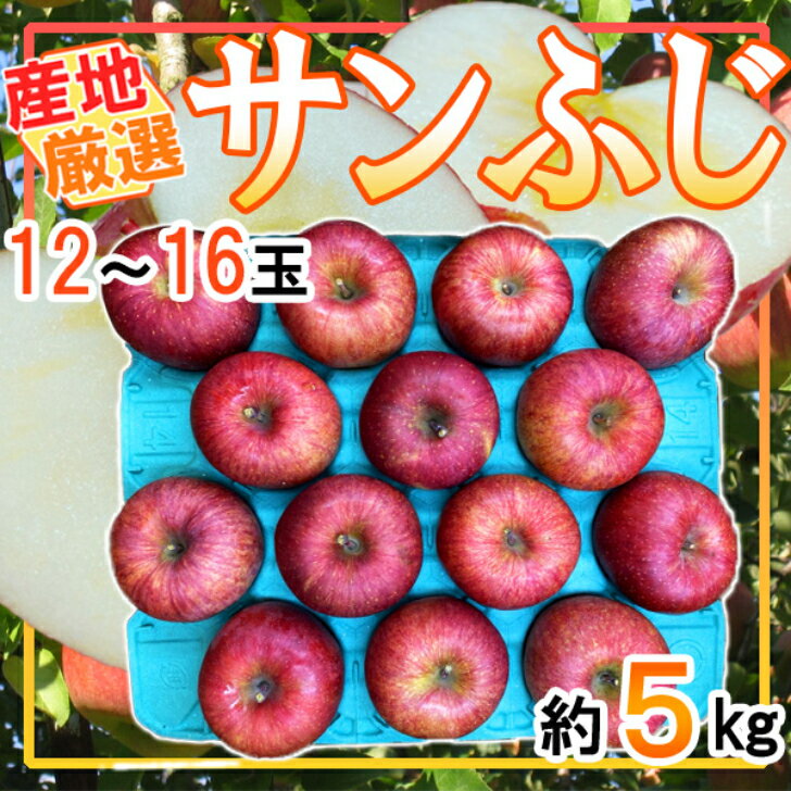 産地厳選 サンふじ 12〜16玉 約5キロ