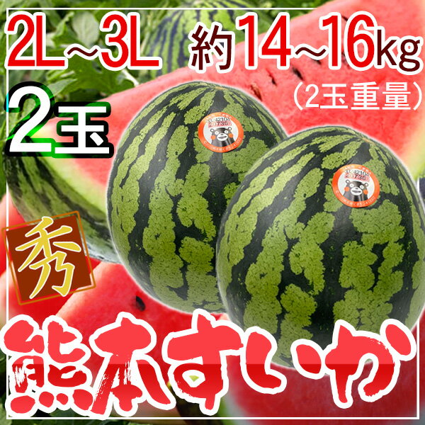 熊本県産　熊本すいか　2玉　2L〜3L　計約14〜16キロ 秀品