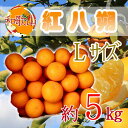 和歌山県産　紅八朔　L　約5kg