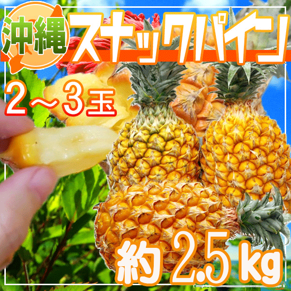 商品情報名称パイナップル産地国内産(沖縄県産)内容量2.3玉保存方法常温で保存沖縄県産　スナックパイン　2〜3本　約2.5キロ 国産パインは超希少!!食べやすさ抜群で大人気♪ スナックパインの品種名は｢ボゴールパイン｣♪その食べやすさで今、人気急上昇中のパイナップル！手でちぎって食べられるから楽しく、酸味が少なく、イガイガする茂木があまりないからパインの甘さを存分に感じられるのでお子様がいるご家庭でも大人気！そんな今大注目の『スナックパイン』ですが、殆ど一般市場には出回らない希少品種！パイナップルは苗から育てると果実が実るまで2年以上かかってしまうためうまく育たなかった場合のリスクが大きい果物。そのため「新しくスナックパインを作ろう!」となる生産者がほとんどおらず、なかなか生産者が増えません。その為、人気が出ればでるほど手に入れにくくなってしまう幻の果実です！この機会に是非お召し上がりください♪ 12