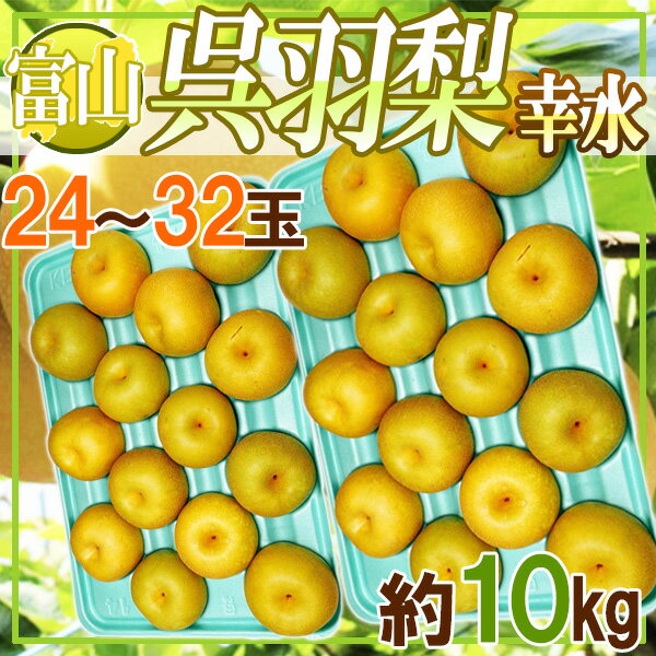 富山県産　呉羽梨　幸水　24〜32玉　約10kg ※クール便発送　送料無料のサムネイル