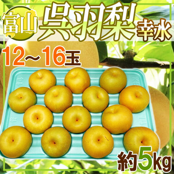 【送料無料】富山県産　呉羽梨　幸水　12〜16玉　約5キロ ※クール便発送のサムネイル