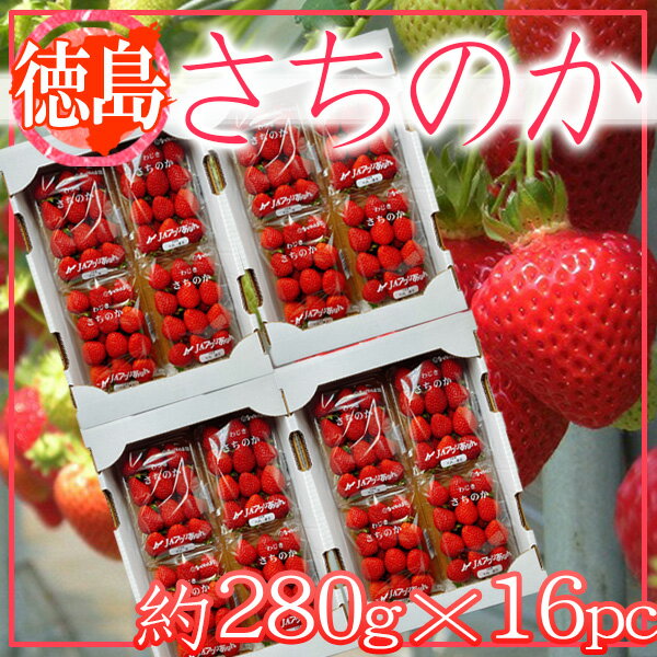 徳島県産 さちのか 1パック約280g×16パック