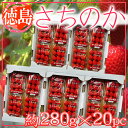 徳島県産 さちのか 1パック約280g×20パック