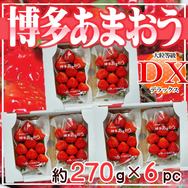 福岡県産 あまおう DX等級 約270g×6パック