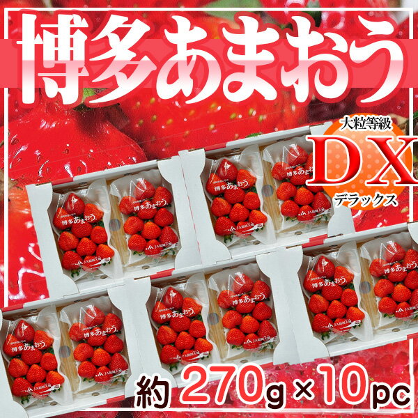 福岡県産 あまおう DX等級 約270グラム×10パック