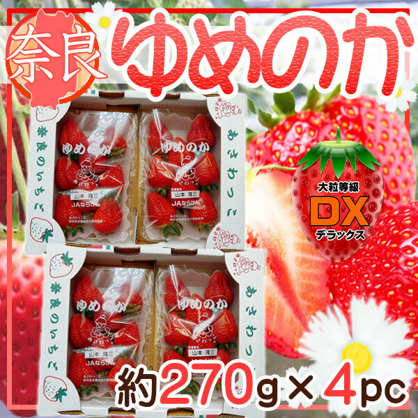 奈良県産　ゆめのかいちご　1パック約270g×4パック　ⅮX