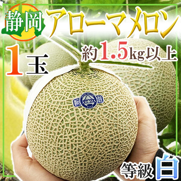 静岡県産 アローマメロン 1玉 約1.5キロ以上