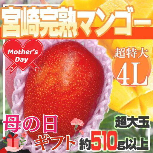 母の日 宮崎完熟マンゴー4L1玉 造花カーネーション付き 母の日 宮崎完熟マンゴー4L1玉 造花カーネーション付き