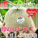 母の日 静岡県産アールスメロン1玉 約1.5キロ前後 造花カーネーション付き 5/7〜5/11お届け(日付指定不可)