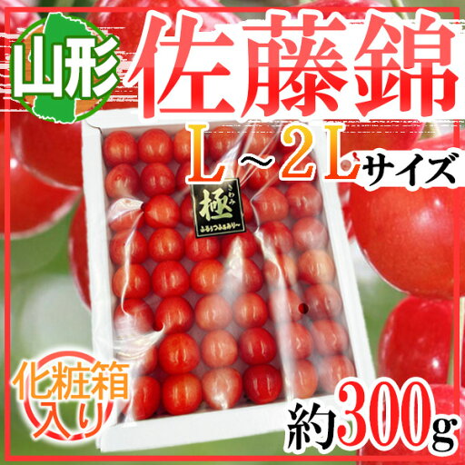 山形県産 佐藤錦 さくらんぼ L-2L 約300g 化粧箱入り 山形県産 佐藤錦 さくらんぼ L-2L 約300g 化粧箱入り
