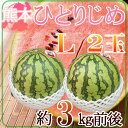 熊本県産 小玉スイカ ひとりじめすいか Lサイズ 2玉 約3キロ前後(4)